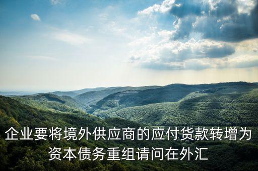 企業(yè)要將境外供應商的應付貨款轉增為資本債務重組請問在外匯