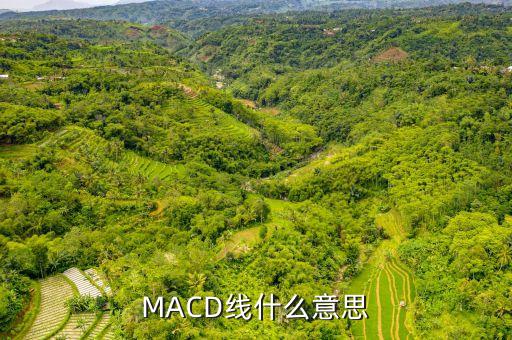 什么叫macd線，MACD線什么意思