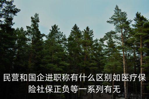 央企和民企在醫(yī)療區(qū)別是什么，民營和國企進職稱有什么區(qū)別如醫(yī)療保險社保正負等一系列有無