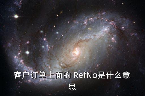 客戶訂單上面的 RefNo是什么意思