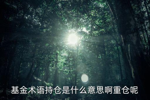 etf持倉是什么意思，基金術(shù)語持倉是什么意思啊重倉呢