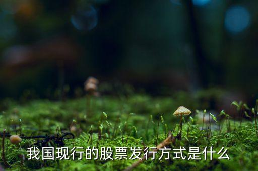 我國現(xiàn)行的股票發(fā)行方式是什么