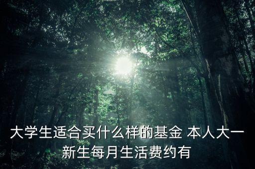 大學生買什么基金，大學生買什么樣的基金比較穩(wěn)妥