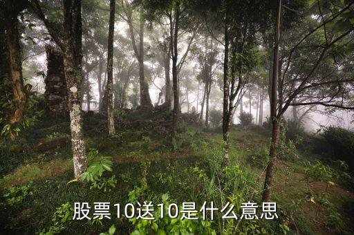 股票10送10是什么意思