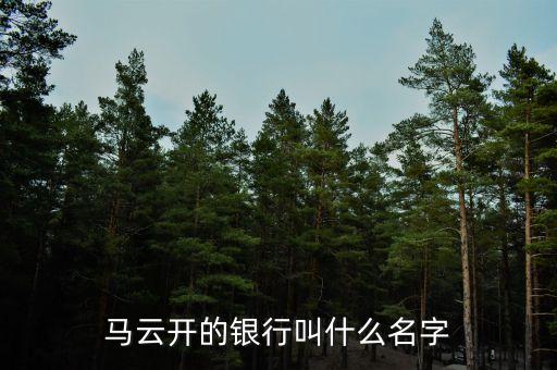 馬云開的銀行叫什么名字