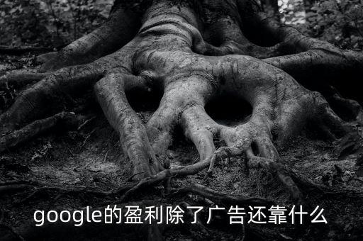 google的盈利除了廣告還靠什么