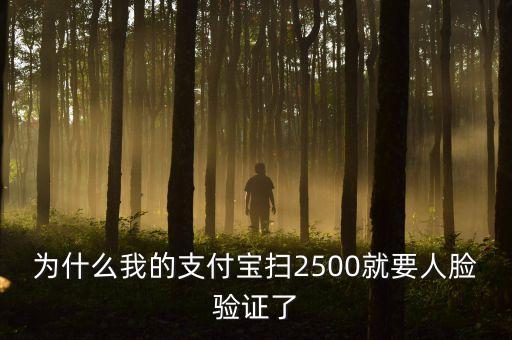 為什么我的支付寶掃2500就要人臉驗(yàn)證了