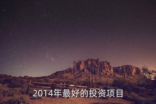 2014年應(yīng)該投資什么，2014年投資做什么好