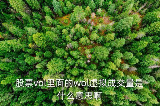 股票vol里面的wol虛擬成交量是什么意思啊