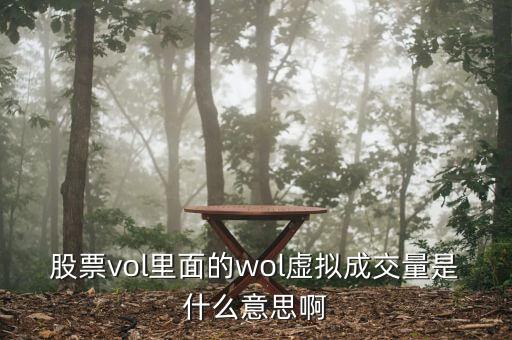 虛擬成交量是什么意思，股票vol里面的wol虛擬成交量是什么意思啊