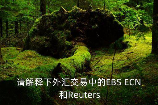 金融EBS是什么意思，ebs財(cái)務(wù)里面的批發(fā)票是什么意思