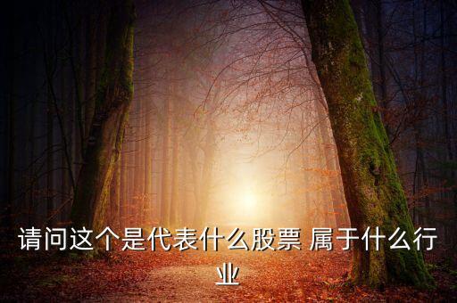 請(qǐng)問(wèn)這個(gè)是代表什么股票 屬于什么行業(yè)