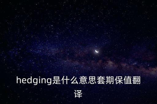 hedging是什么意思套期保值翻譯