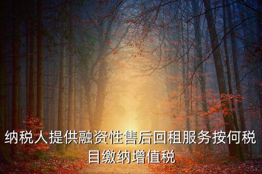 什么是融資性售后回租，有形動產(chǎn)融資性售后回租是什么意思啊 能舉個例子嗎