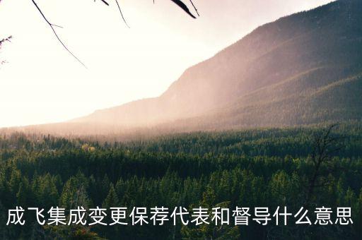 成飛集成變更保薦代表和督導(dǎo)什么意思