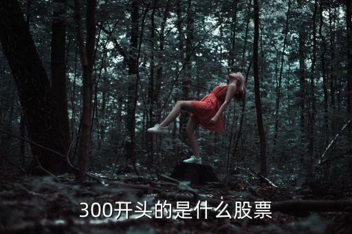 300開頭的是什么股票