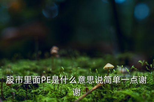 pe第一股是什么意思，股市里面PE是什么意思說(shuō)簡(jiǎn)單一點(diǎn)謝謝