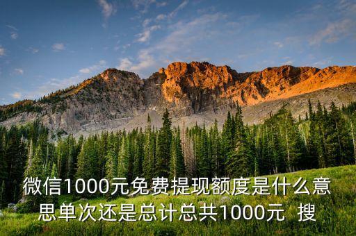 微信1000元免費提現(xiàn)額度是什么意思單次還是總計總共1000元  搜