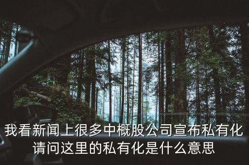 我看新聞上很多中概股公司宣布私有化請(qǐng)問這里的私有化是什么意思