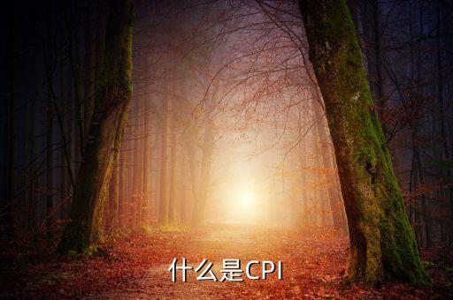 cpi包括什么，cpi指的是什么