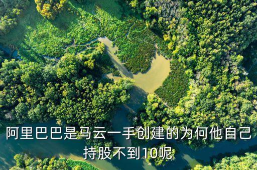 阿里巴巴是馬云一手創(chuàng)建的為何他自己持股不到10呢