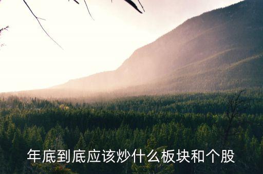 年底到底應(yīng)該炒什么板塊和個(gè)股