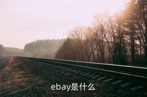 qfii是什么，ebay是什么