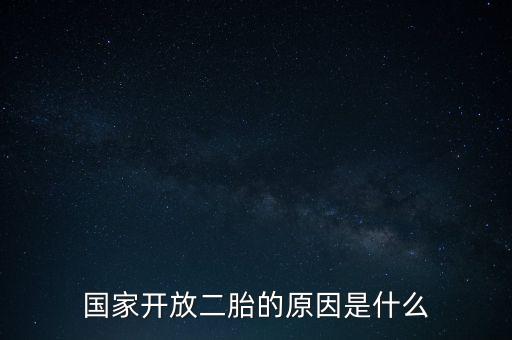 國家開放二胎的原因是什么