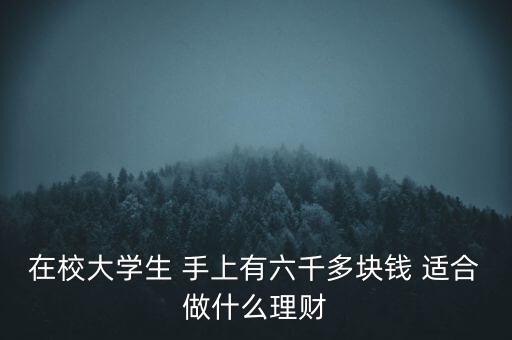 在校大學(xué)生 手上有六千多塊錢 適合做什么理財(cái)