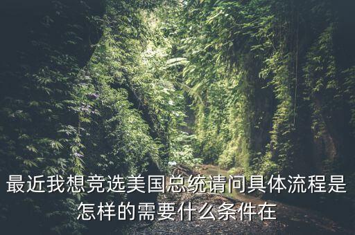 最近我想競(jìng)選美國(guó)總統(tǒng)請(qǐng)問(wèn)具體流程是怎樣的需要什么條件在