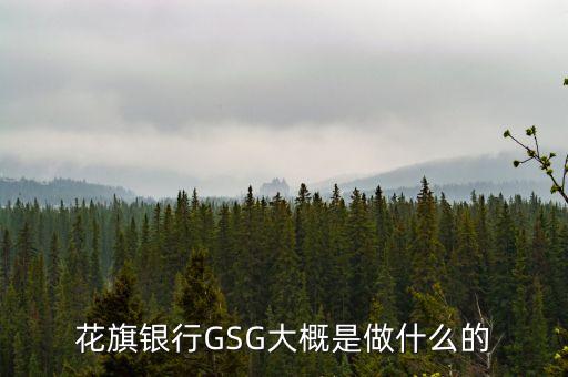 花旗銀行GSG大概是做什么的