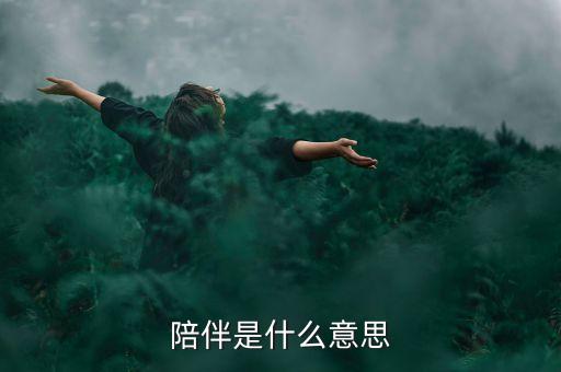 陪伴是什么意思