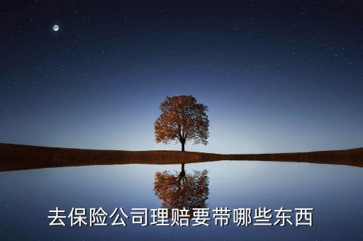 去保險(xiǎn)公司理賠要帶哪些東西