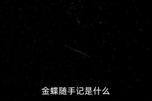 金蝶隨手記是什么