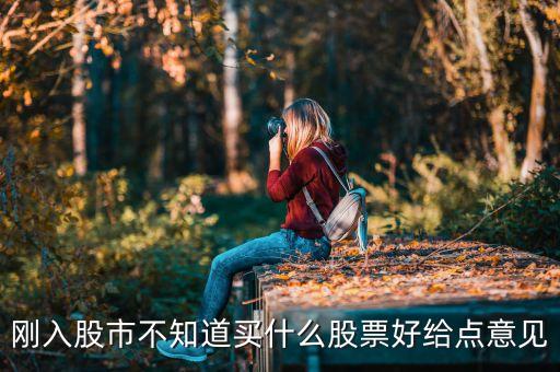 剛?cè)牍墒胁恢蕾I什么股票好給點(diǎn)意見(jiàn)