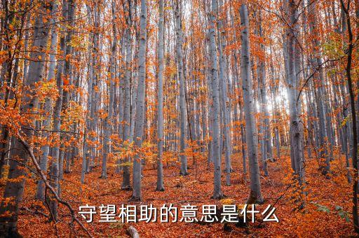 守望相助共創(chuàng)中蒙說明了什么，中蒙關系為什么會發(fā)展的觀點