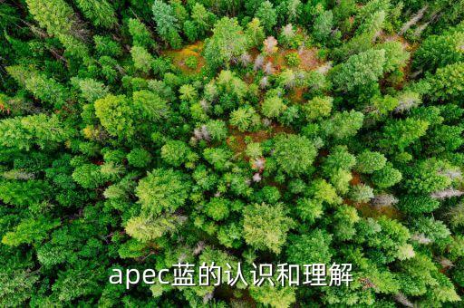 全社會杠桿率是什么，apec藍(lán)的認(rèn)識和理解