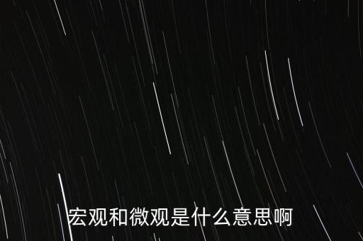 宏觀和微觀是什么意思啊