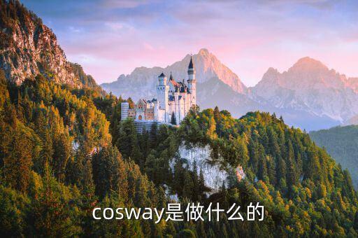 cosway是做什么的