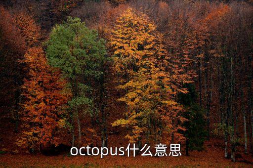 宗主國什么意思，octopus什么意思