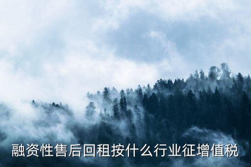 融資性售后回租按什么行業(yè)征增值稅