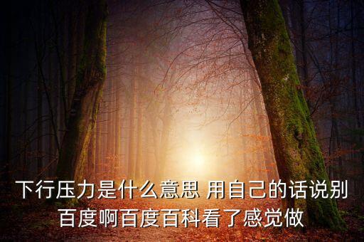 什么是下行壓力，應(yīng)對(duì)經(jīng)濟(jì)下行壓力還有哪些策略