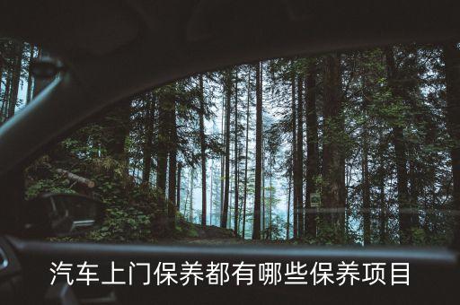 汽車上門保養(yǎng)都有哪些保養(yǎng)項(xiàng)目