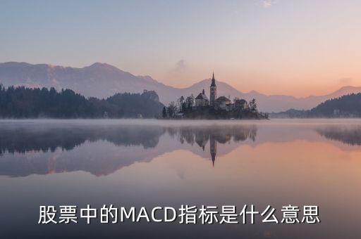 股票中macd指標什么意思，股票中MACD指標是什么意思