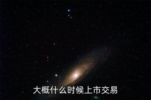 大概什么時(shí)候上市交易