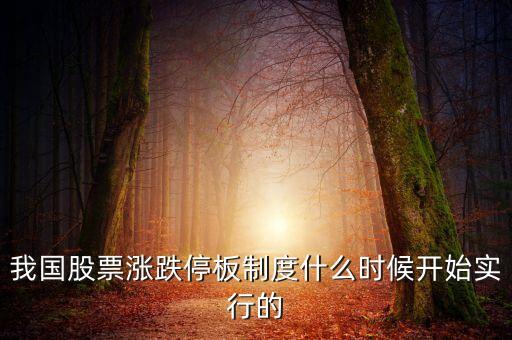 我國股票漲跌停板制度什么時候開始實(shí)行的