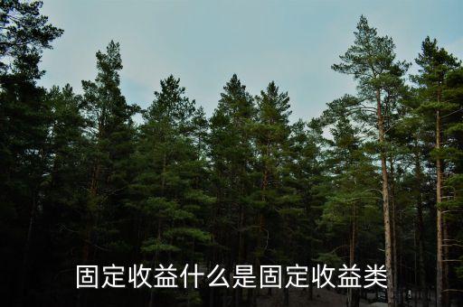 固定收益什么是固定收益類