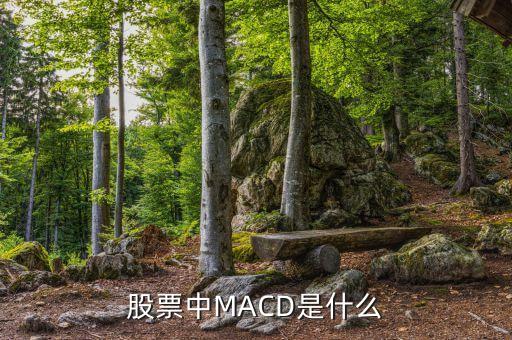 股票中MACD是什么