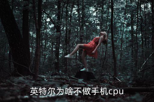 intel為什么不代工arm的cpu，Intel和AMD為什么不能和arm競(jìng)爭(zhēng)