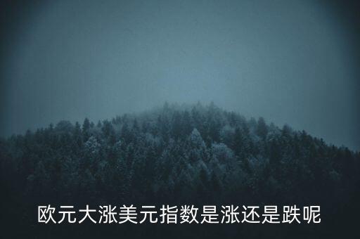 歐元大漲美元指數(shù)是漲還是跌呢